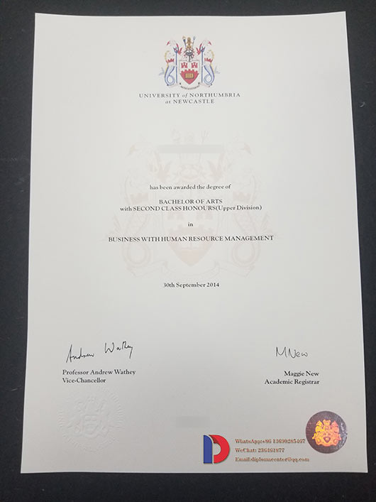 Northumbria University Bachelor of Arts Degree 2014 Sample