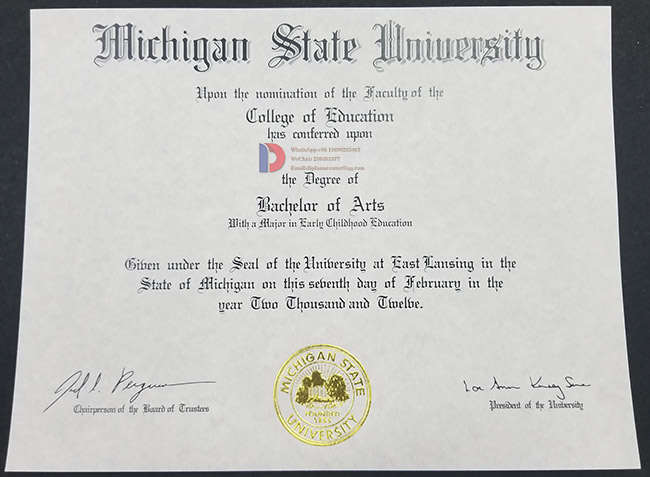 Degree sample from Michigan State University
