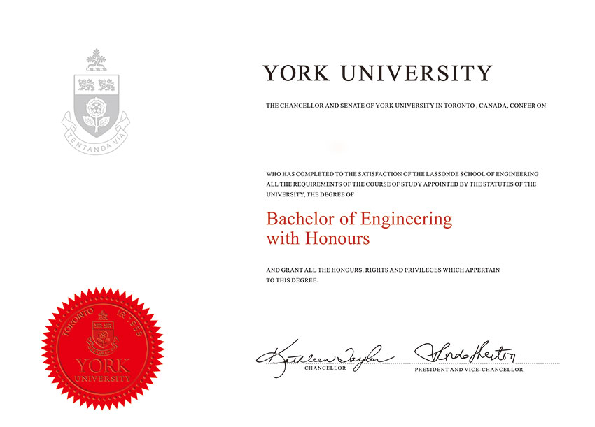 sample of York University degree